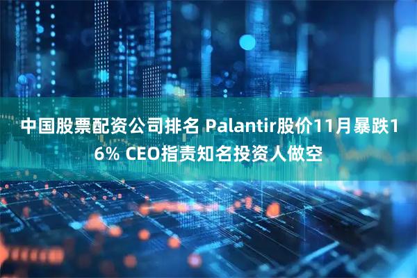 中国股票配资公司排名 Palantir股价11月暴跌16% CEO指责知名投资人做空