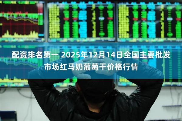 配资排名第一 2025年12月14日全国主要批发市场红马奶葡萄干价格行情