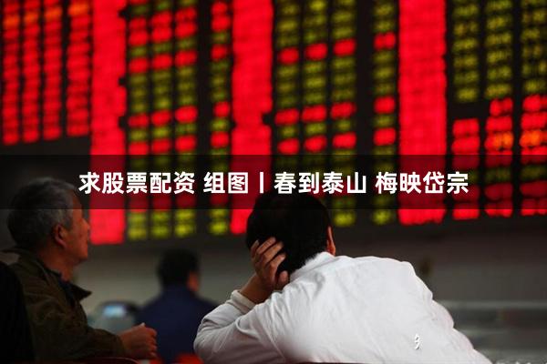求股票配资 组图丨春到泰山 梅映岱宗