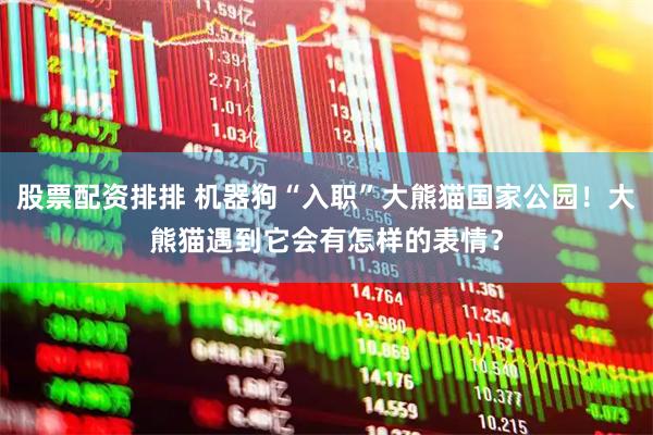 股票配资排排 机器狗“入职”大熊猫国家公园!大熊猫遇到它会有怎样的表情?