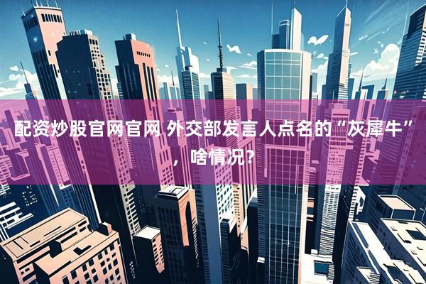 配资炒股官网官网 外交部发言人点名的“灰犀牛”,啥情况?